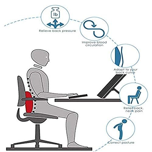 Back Rest Pillow